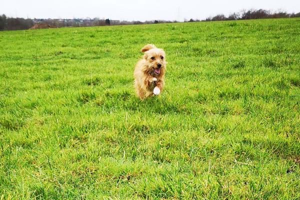 Margaret Running On The Field